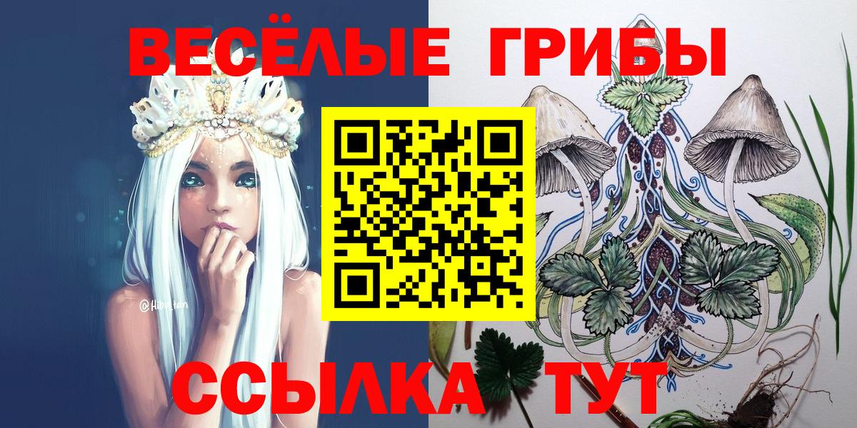 Галлюциногенные грибы MAGIC MUSHROOMS Златоуст