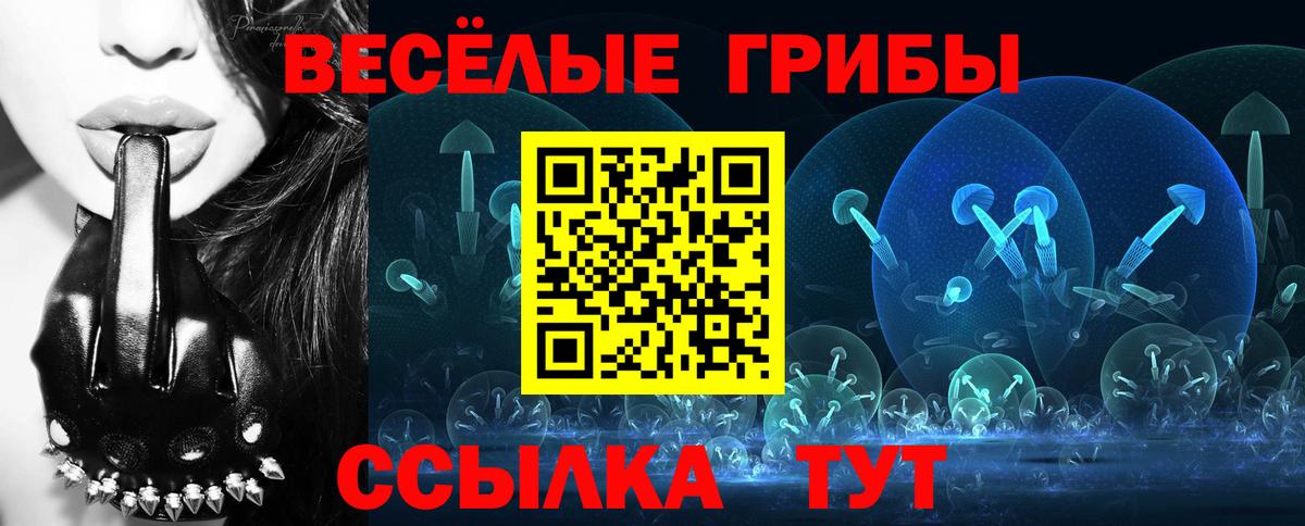 Златоуст  что такое наркотик  Вход с VPN  Галлюциногенные грибы мухоморы 